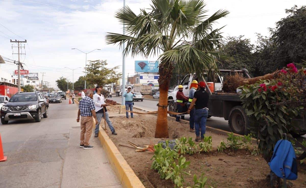 FOTO: Mayhan Barraza.