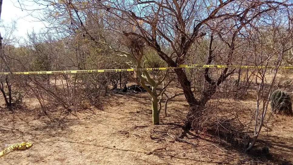 FOTO: Ernesto Torres.