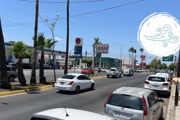 Clima en Los Mochis para este sábado, 01 de febrero: Cielos despejados y viento
