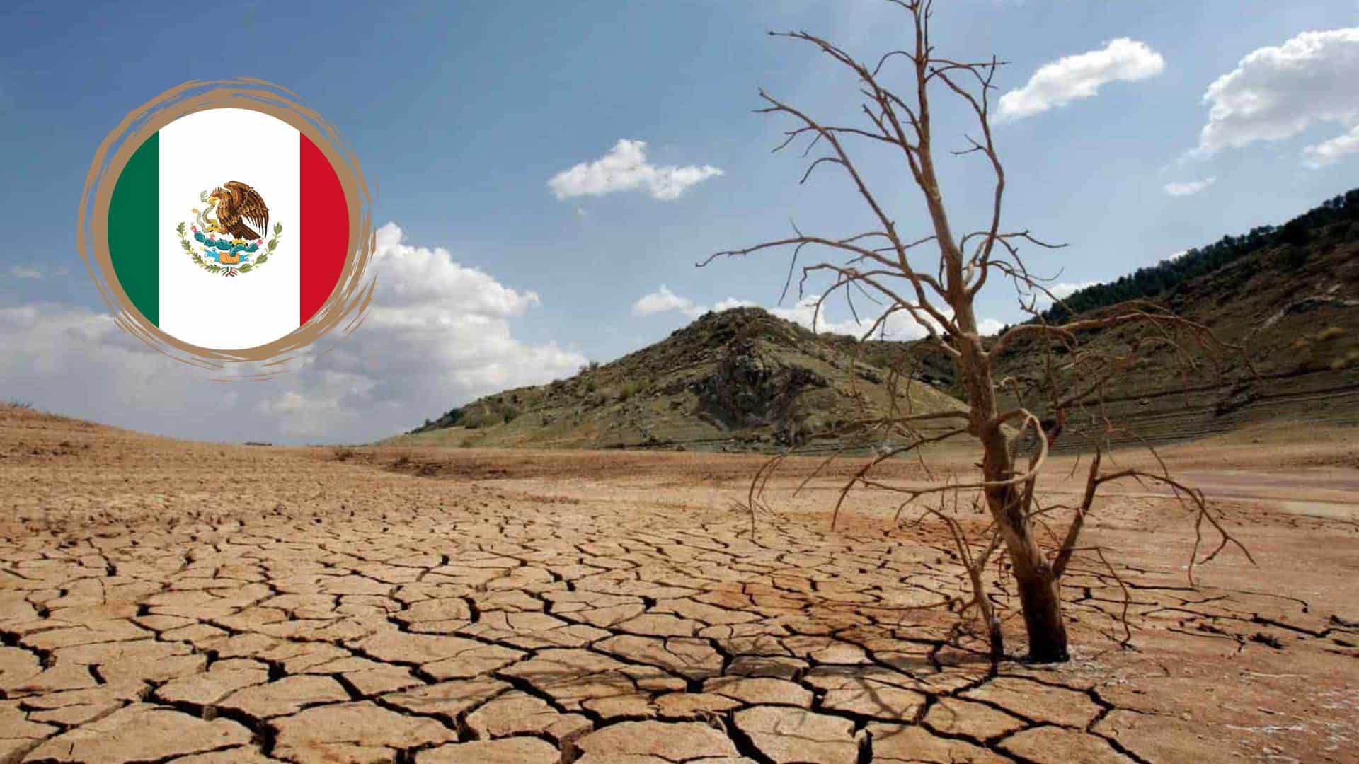 FOTO: Sequía en México.