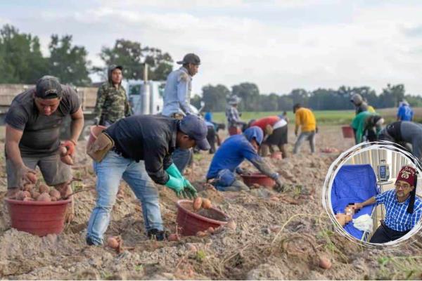 Niña indígena resulta con quemaduras tras explotar una lata de pintura en aerosol en Guasave