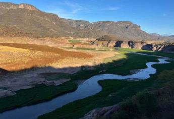 Sequía azota fuerte al norte de Sinaloa; así amanecen las presas hoy domingo 2 febrero