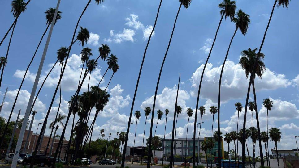 Clima en Los Mochis este martes, 04 de febrero: cielo nublado y temperaturas frescas