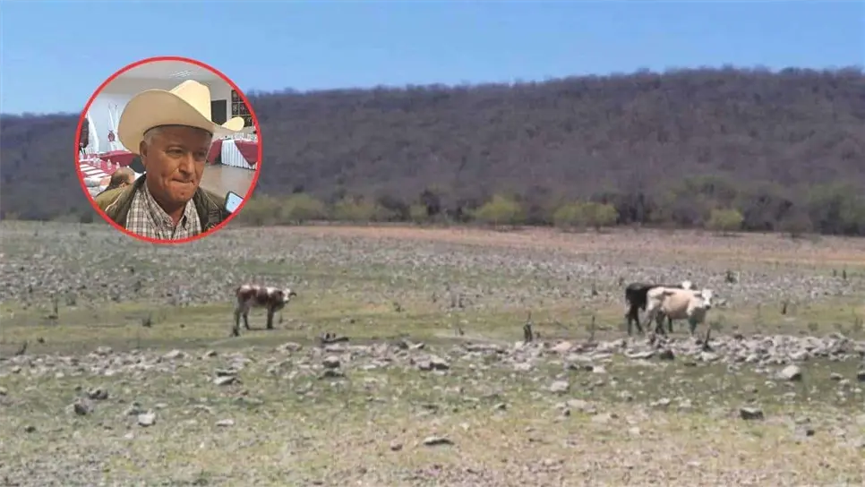 FOTO: Cortesía. Ganaderos de Ahome atraviesan duras situaciones ante los climas helados y la irreparable sequía en el estado.