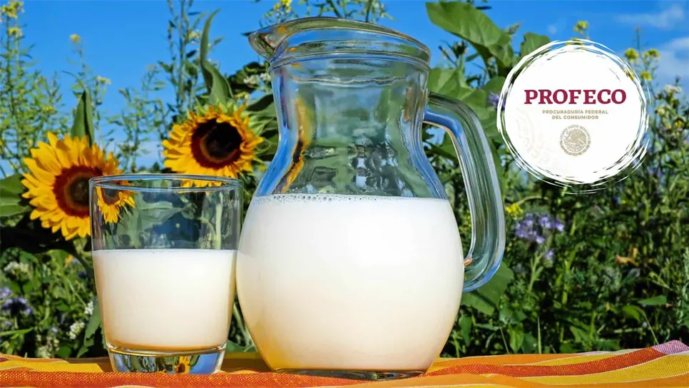 FOTO: Se aconseja elegir bebidas vegetales con bajo contenido de azúcares y sodio para una opción más saludable.