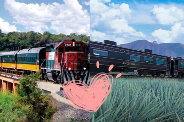 Trenes turísticos en México: conoce las rutas más bonitas para viajar en este 2025?