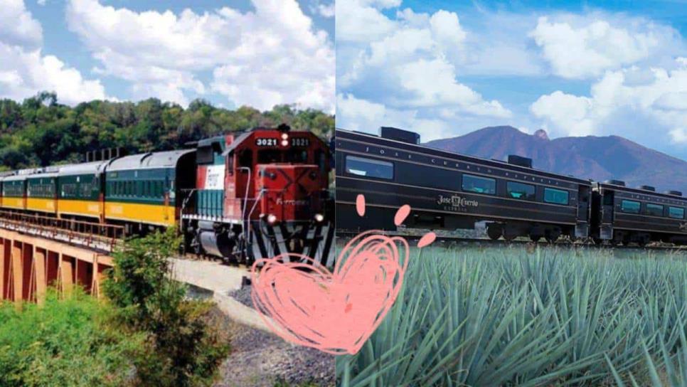 Trenes turísticos en México: conoce las rutas más bonitas para viajar en este 2025?