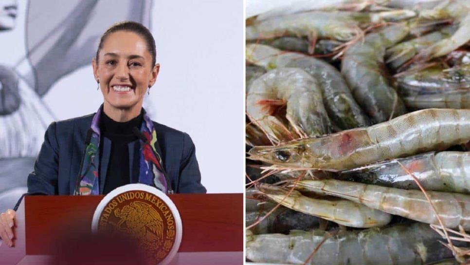 Claudia Sheinbaum: Son más ricos los camarones de Sinaloa que los de Ecuador