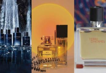 ¿Cuáles son los 5 perfumes más vendidos en la historia? Uno es de mujer