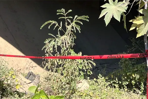 Localizan automóvil abandonado bajo el puente del Río Presidio en Villa Unión 