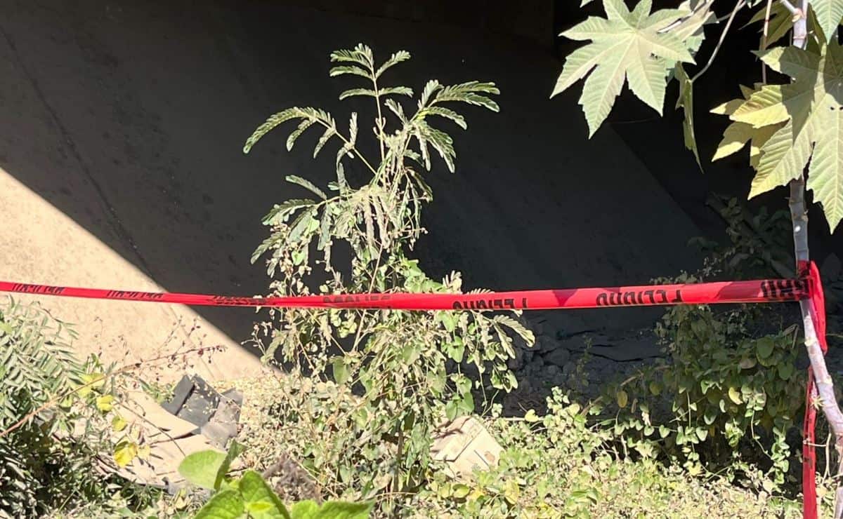 FOTO: Puente del Río Presidio en Villa Unión