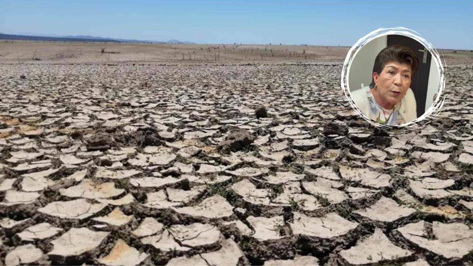 Sequía en Ahome: 11 plantas potabilizadoras están en riesgo por bajos niveles de agua en canales