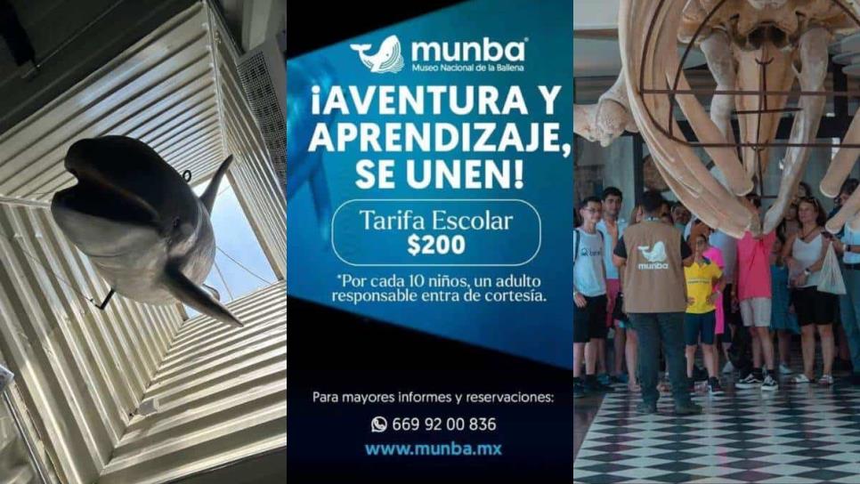 Museo Nacional de la Ballena en Mazatlán: ¿Cuánto cobra por recorrido escolar?