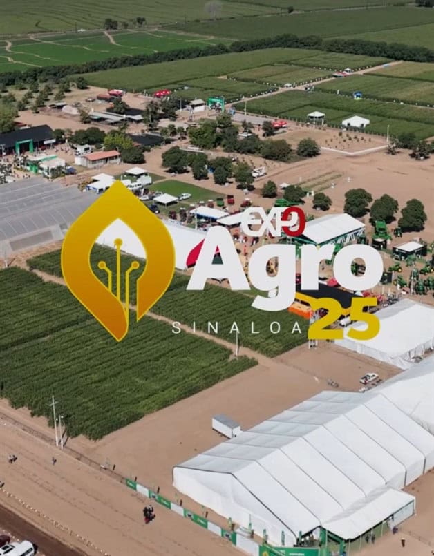 Imagen Placeholder Imagen Placeholder