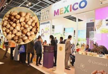 Sinaloa promocionará garbanzo en Gulfood Dubái, la feria más grande de alimentos 