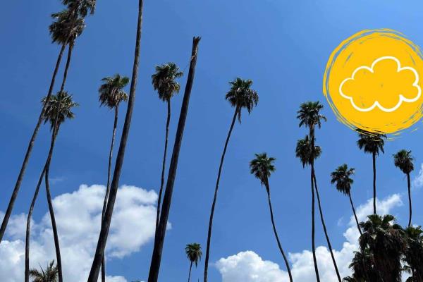 Clima en Los Mochis este viernes, 07 de febrero: Cielos despejados y temperaturas agradables