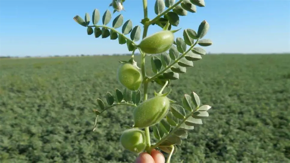 FOTO: Esthela García.