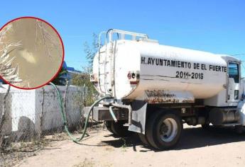 Por mortandad de peces, El Fuerte trabaja a marchas forzadas para abastecer agua potable