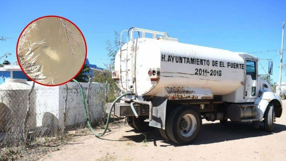 Por mortandad de peces, El Fuerte trabaja a marchas forzadas para abastecer agua potable