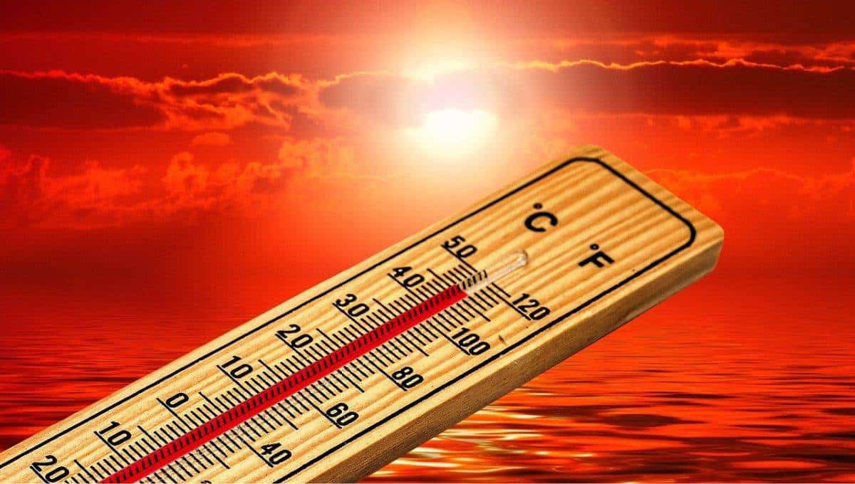 SMN: ¿Cuántas ondas de calor se esperan este 2025 y qué estados afectarán?