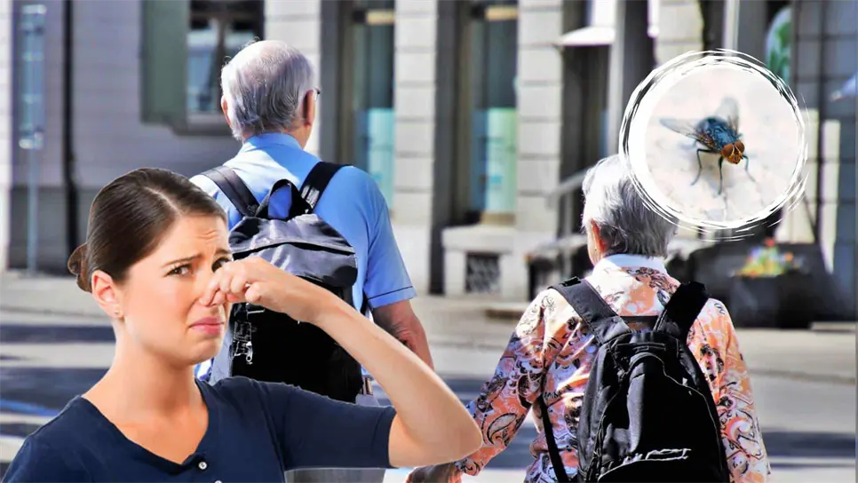 FOTO: Aunque hoy las consideramos plagas, en el Antiguo Egipto las moscas doradas eran otorgadas como condecoraciones militares.