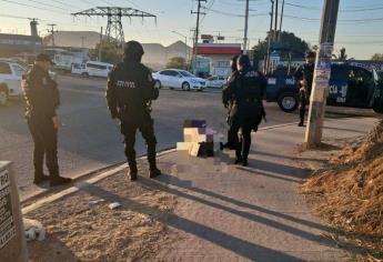 Un gato muerto con un mensaje provoca fuerte movilización en Culiacán