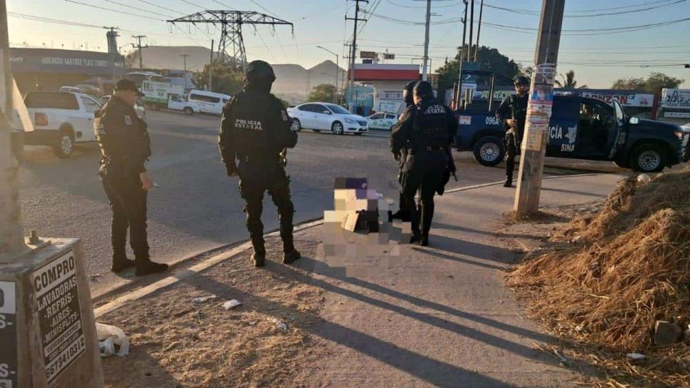 Un gato muerto con un mensaje provoca fuerte movilización en Culiacán