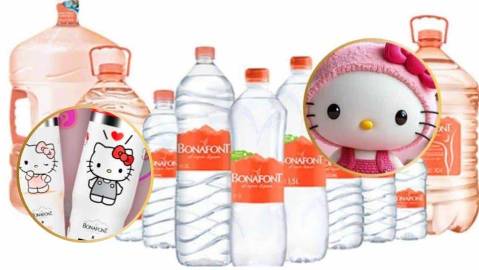 Termos de Hello Kitty: ¿ Cuánto cuestan y dónde comprarlos?