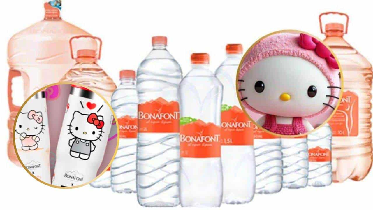 FOTO: Termos de Hello Kitty: ¿ Cuánto cuestan y dónde comprarlos?.