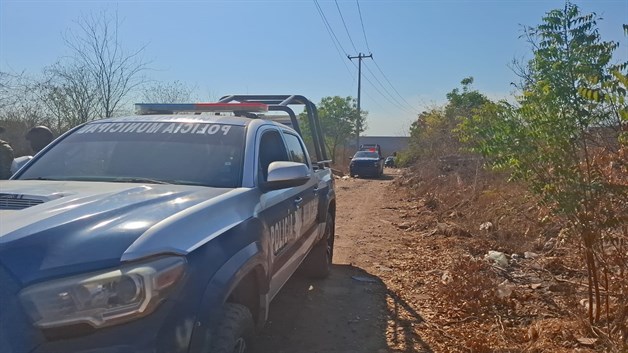 Imagen Placeholder Imagen Placeholder