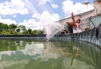 ¡Atención pescador!, este miércoles comienza el pago del Bienpesca, anuncia la Conapesca