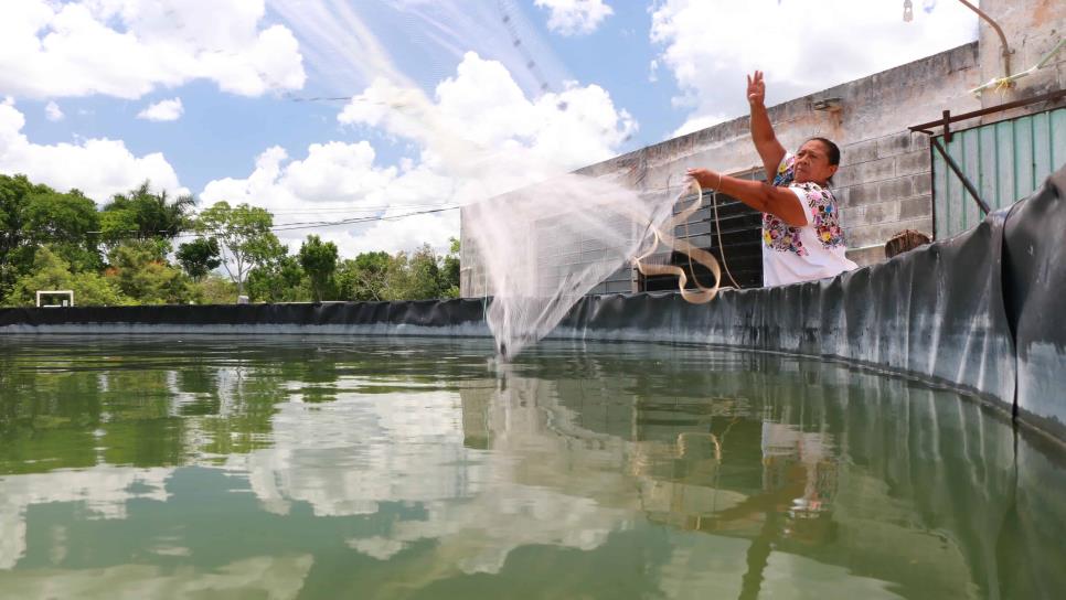 ¡Atención pescador!, este miércoles comienza el pago del Bienpesca, anuncia la Conapesca