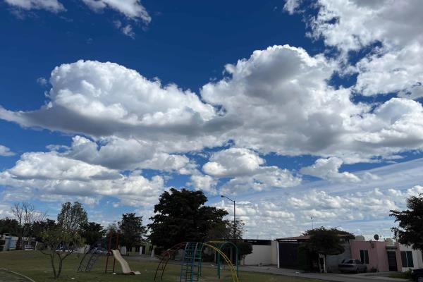 Clima en Los Mochis para este miércoles, 12 de febrero: Día cálido con vientos moderados