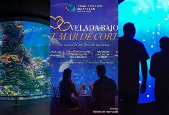 ¿No sabes donde celebrar el Día de San Valentín? Acuario Mar de Cortés Mazatlán te invita a pasar una velada romántica 