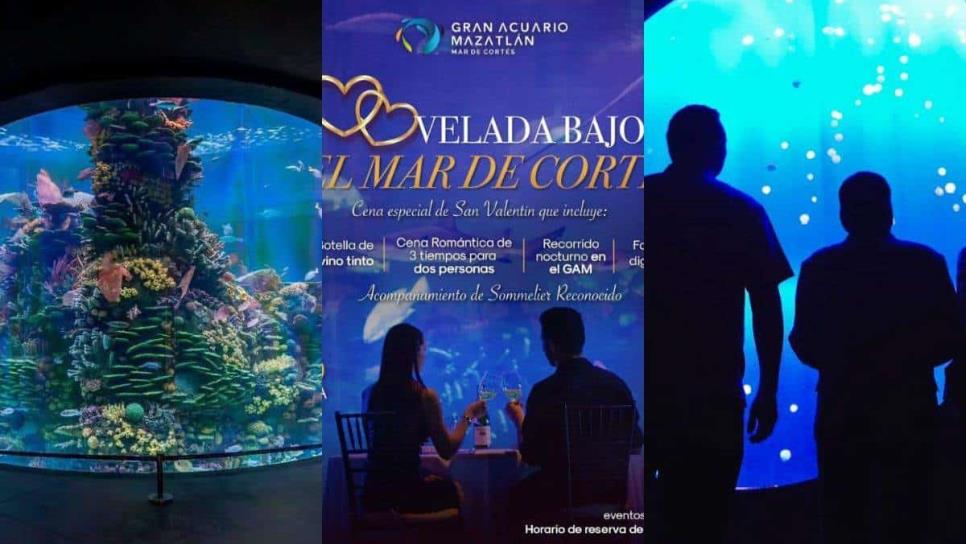 ¿No sabes donde celebrar el Día de San Valentín? Acuario Mar de Cortés Mazatlán te invita a pasar una velada romántica 