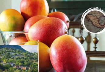 ¿Cuáles son los mangos más dulces de México?