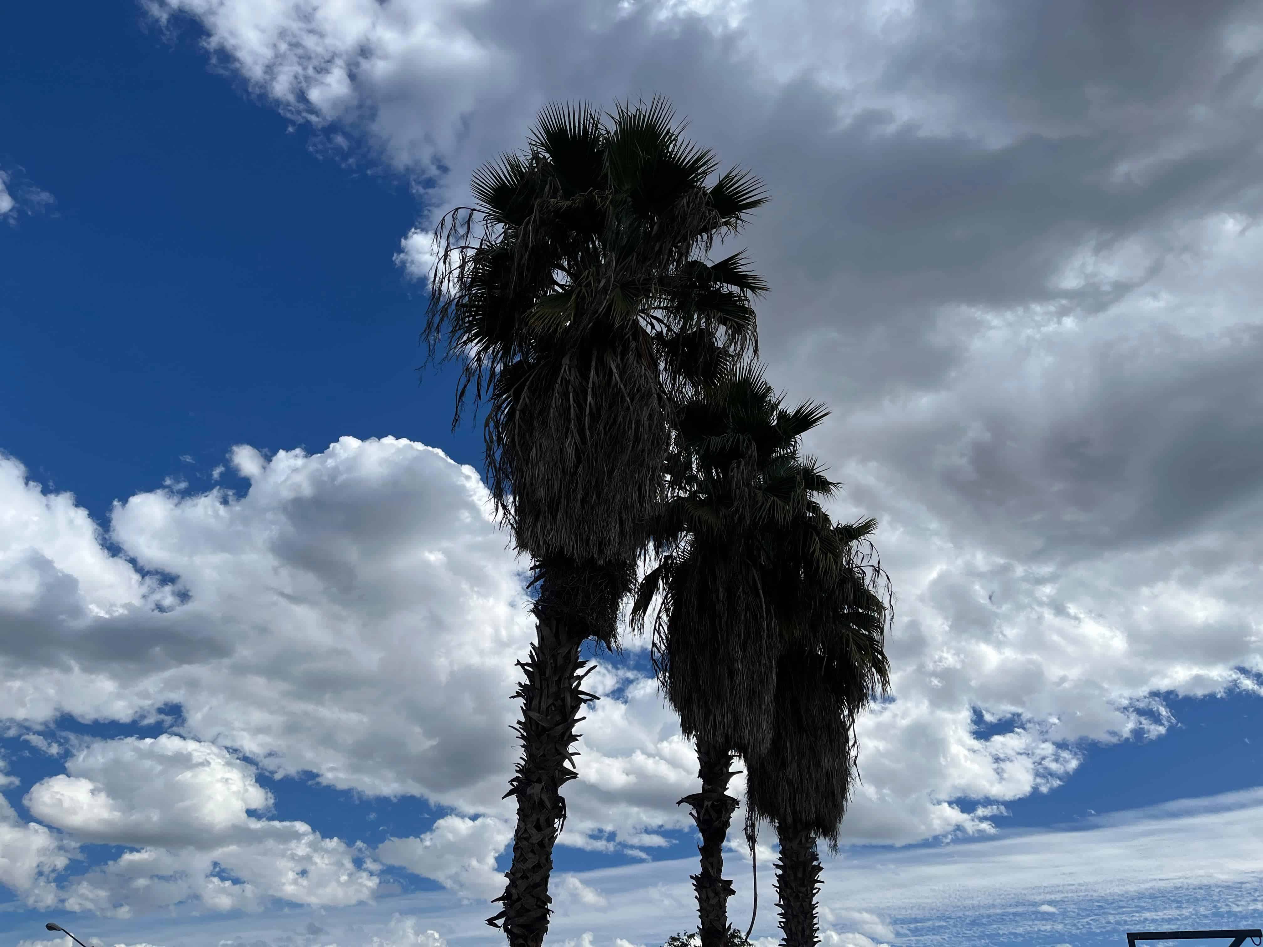 FOTO: Clima en Los Mochis.