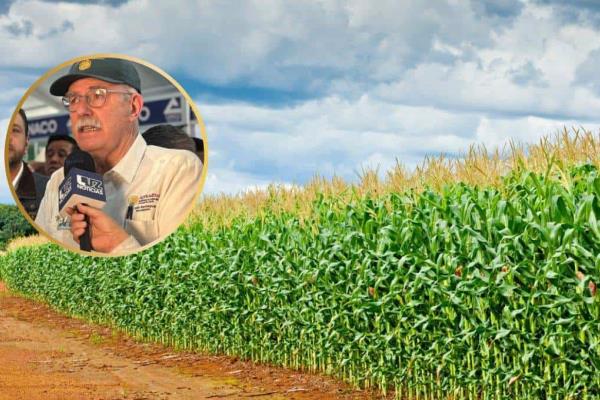 SADER garantiza apoyo par a coberturas para el 100 % de la producción de maíz de Sinaloa