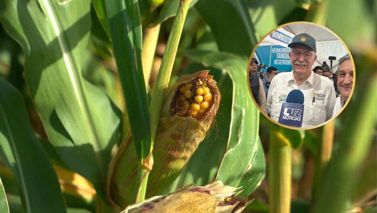 Imagen Placeholder Imagen Placeholder