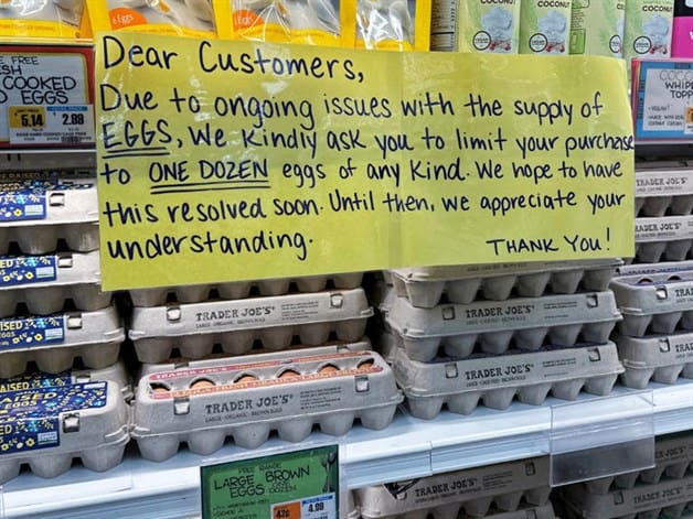 Imagen Placeholder Imagen Placeholder