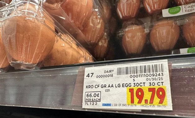 Imagen Placeholder Imagen Placeholder