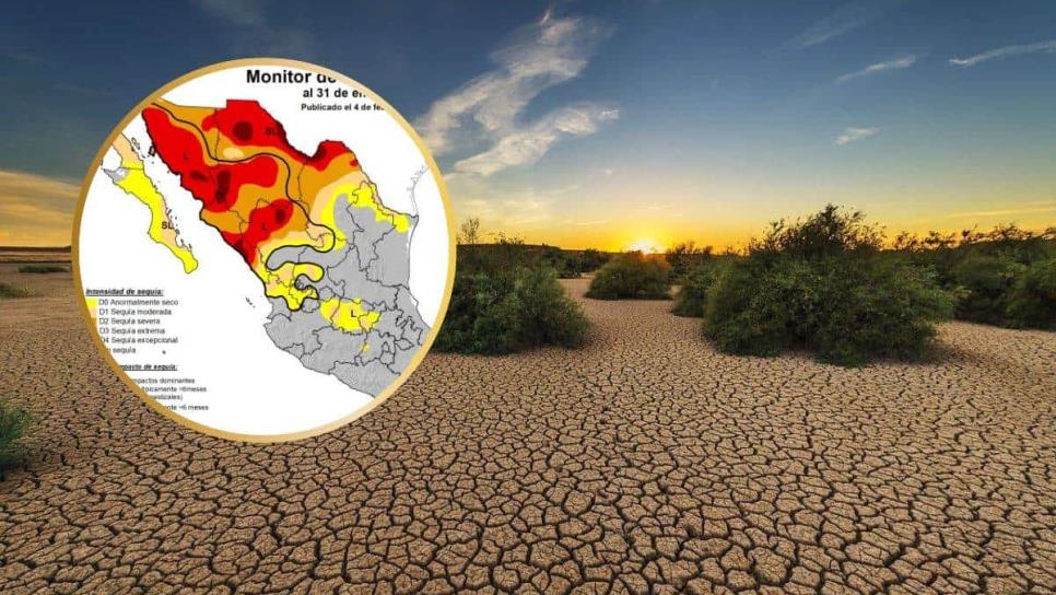 ¿Cómo afectará la sequía en México en este 2025?; estos serían los estados más afectados