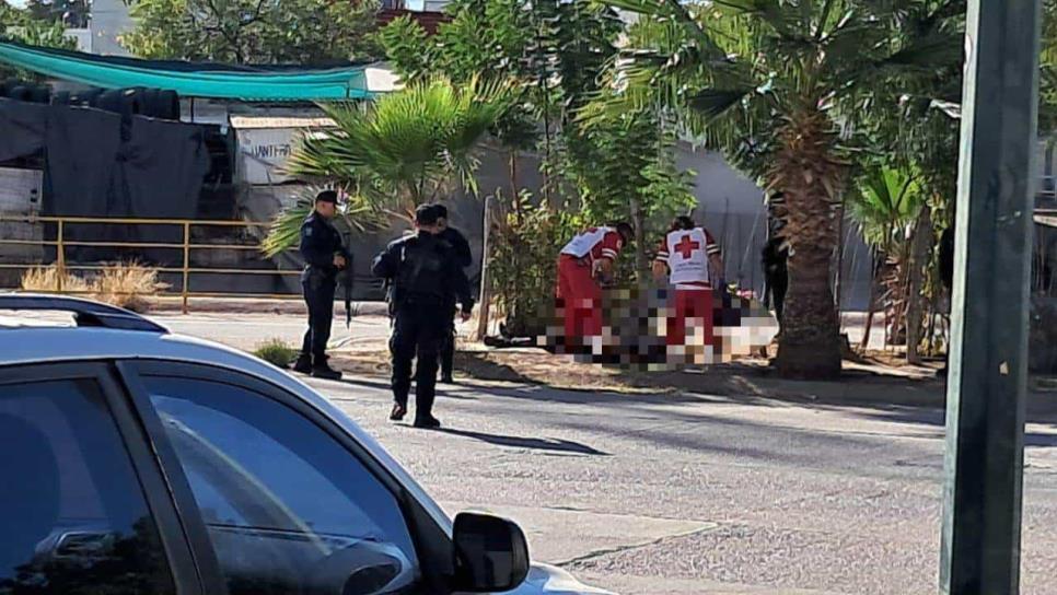 De varios balazos ejecutan a un hombre con ropa de camuflaje en Prados del Sur, Culiacán