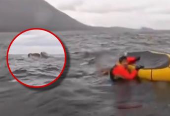 Ballena se traga a un hombre mientras paseaba en kayak y vivió para contarlo | VIDEO