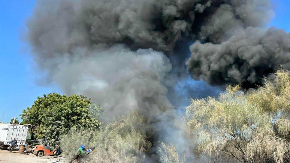 Cortocircuito provoca incendio de llantas y maleza en Los Mochis