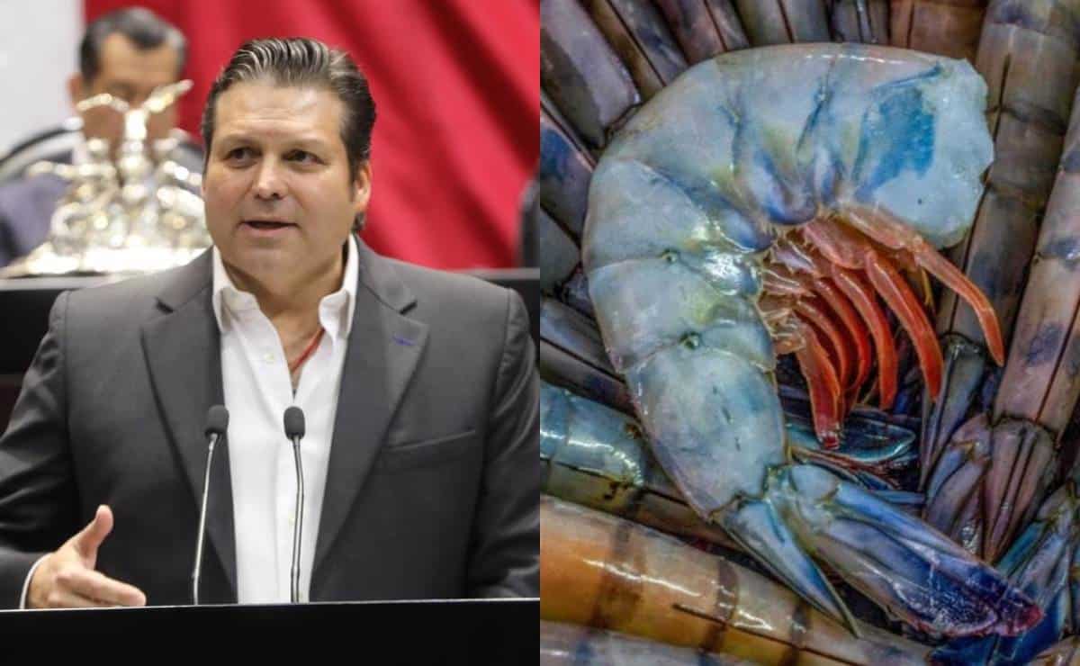 FOTO: Mario Zamora exige frenar contrabando de camarón ecuatoriano: “Está destruyendo la producción en Sinaloa”