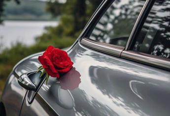 ¿Apareció una flor en la puerta de tu coche? Ten cuidado, puedes ser víctima de un delito | VIDEO