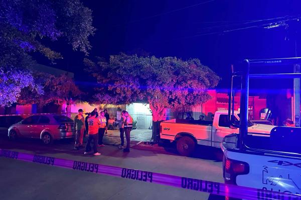 Muere jardinero tras caerle una palma que estaba podando en Santa Teresa, Los Mochis