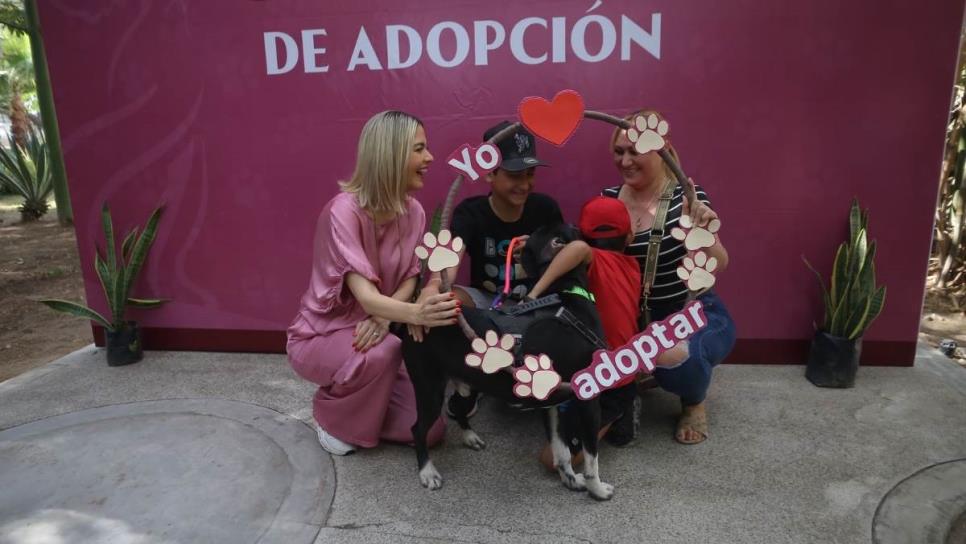 Estrella Palacios lidera la tercera campaña de adopción "Huellitas del Bienestar" en Mazatlán