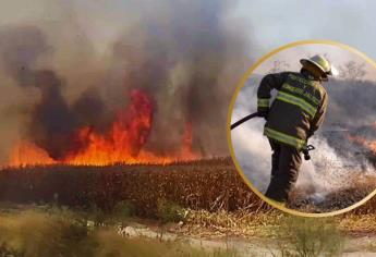 ¿Cuántos litros de agua se necesitan para sofocar una quema de soca? Bomberos pide conciencia en Ahome